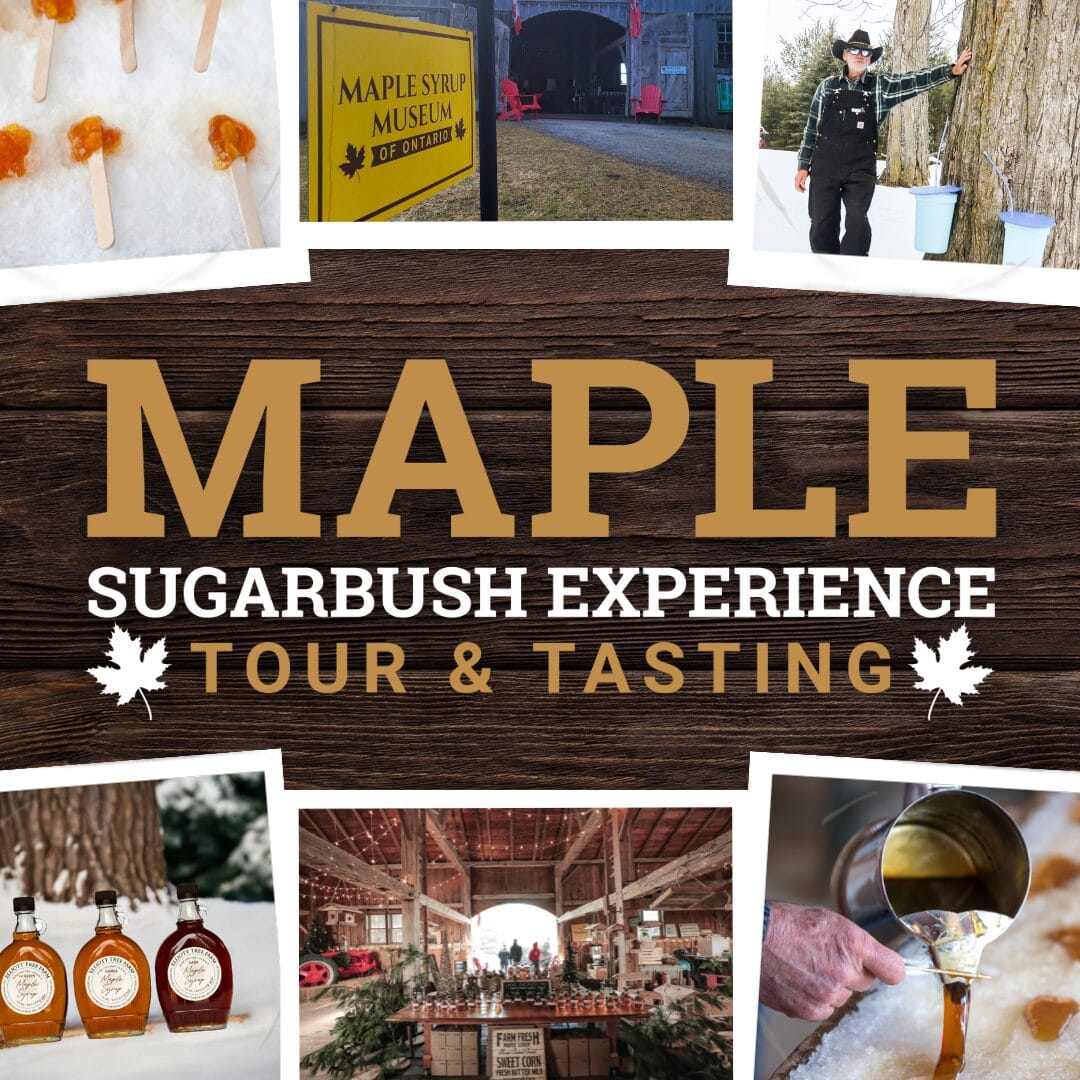 Maple Sugarbush Experience Tour and Tasting