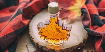 Maple Syrup, Visit a maple farm in Canada