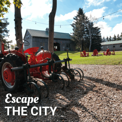 Escape the City: Nature-Filled Day Trips near Toronto at Elliott Tree Farm