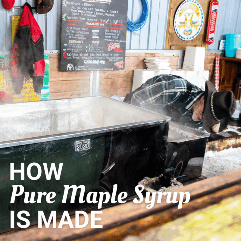 Read more about the article From Tree to Table: How Pure Maple Syrup is Made at Elliott Tree Farm