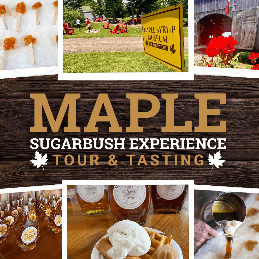 maple sugarbush experience