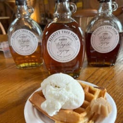 maple syrup waffle with ice cream