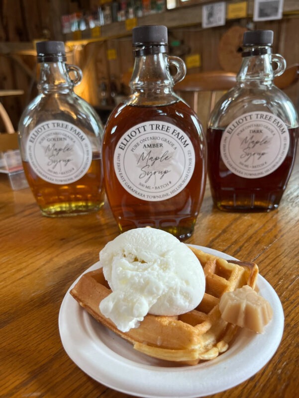 maple syrup waffle with ice cream
