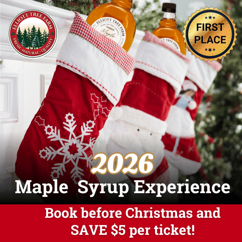 2026 Maple Experience