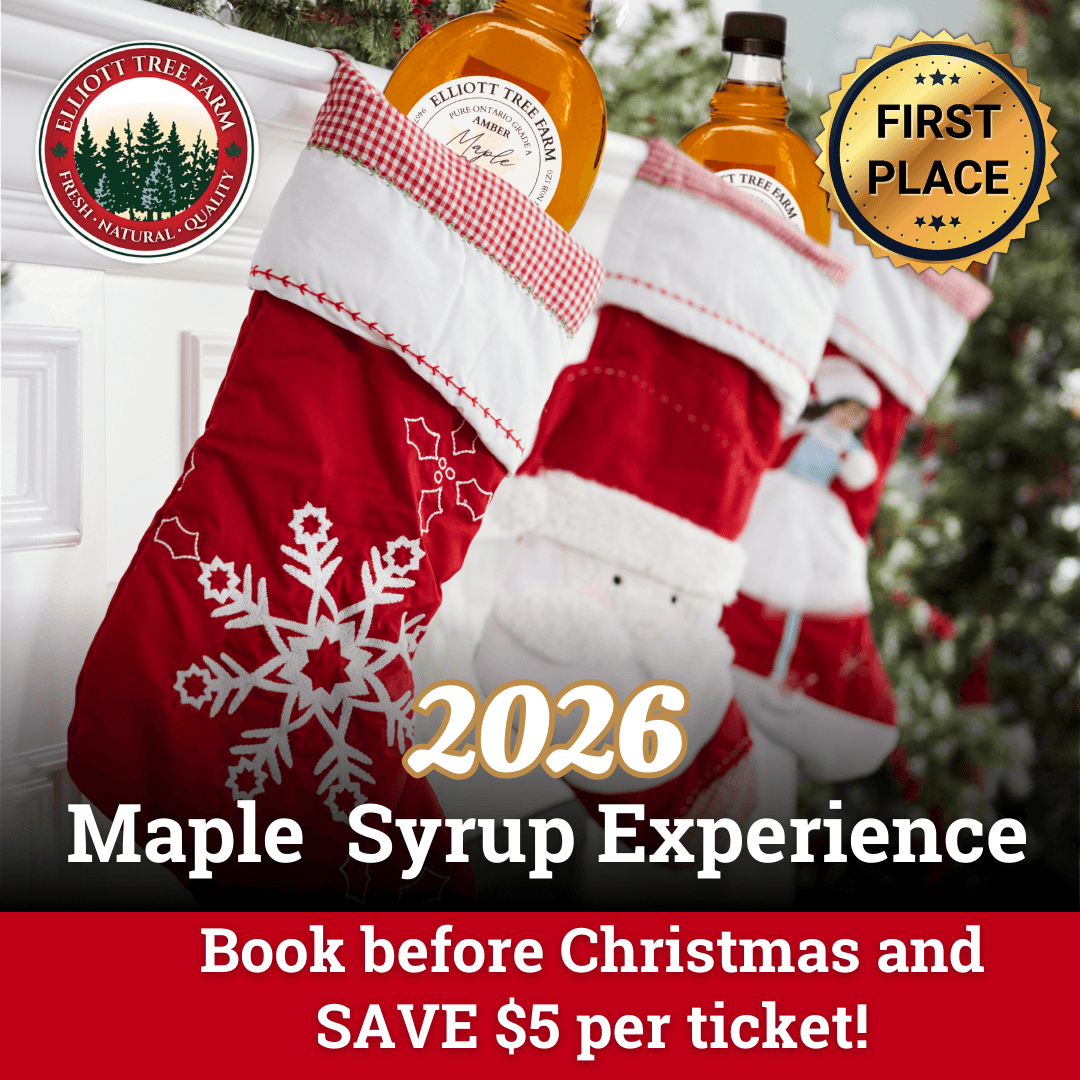 2026 Maple Experience