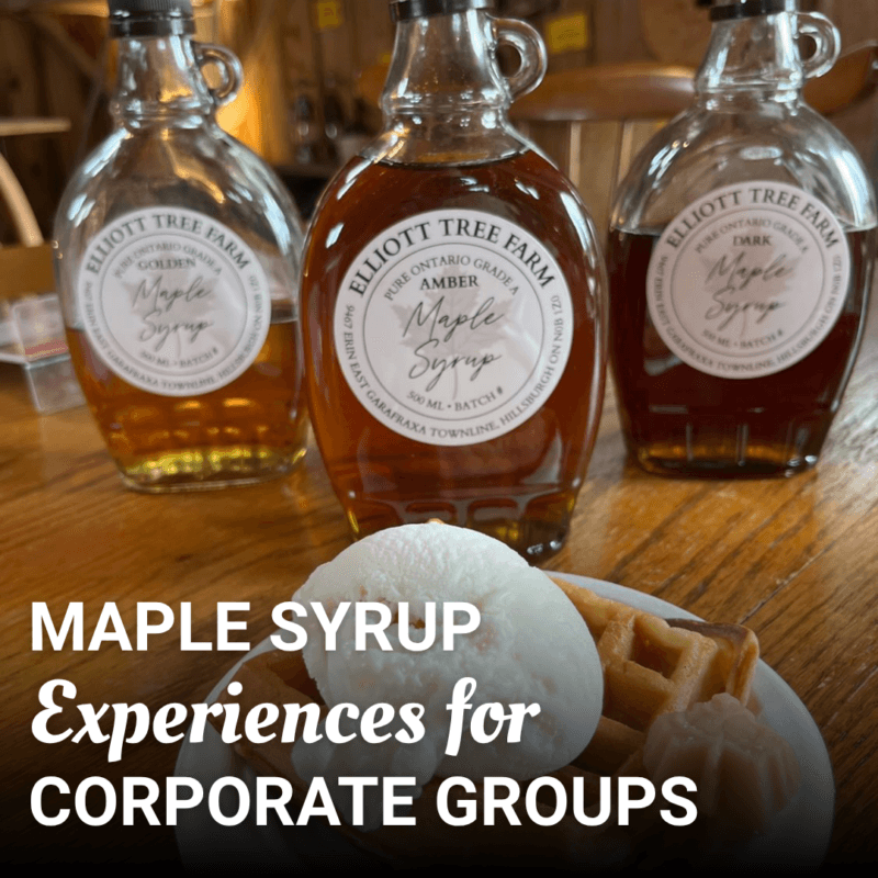 Read more about the article Host Your Guests With an Authentic Canadian Maple Syrup Experience
