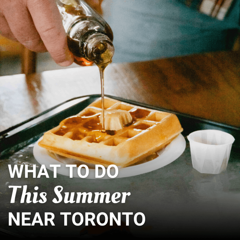 Read more about the article What to Do This Summer Near Toronto: A Sweet Day Trip to Elliott Tree Farm