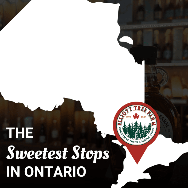 Read more about the article The Sweetest Stops in Ontario