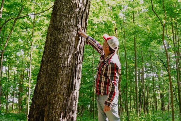 derek near a large maple tree in the maple forest