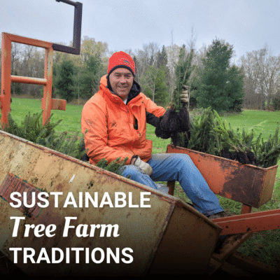 Sustainable Tree Farm Traditions: How Elliott Tree Farm Grows Memories Year After Year