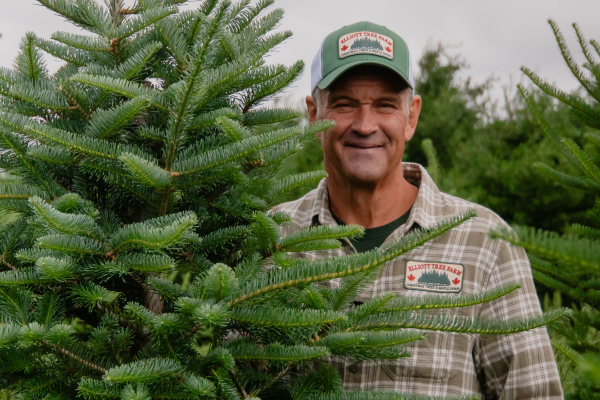 Christmas Tree Farm Near Toronto