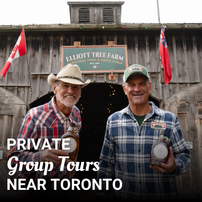 Read more about the article Private Group Tours Near Toronto: An Authentic Canadian Farm Experience for International Travellers