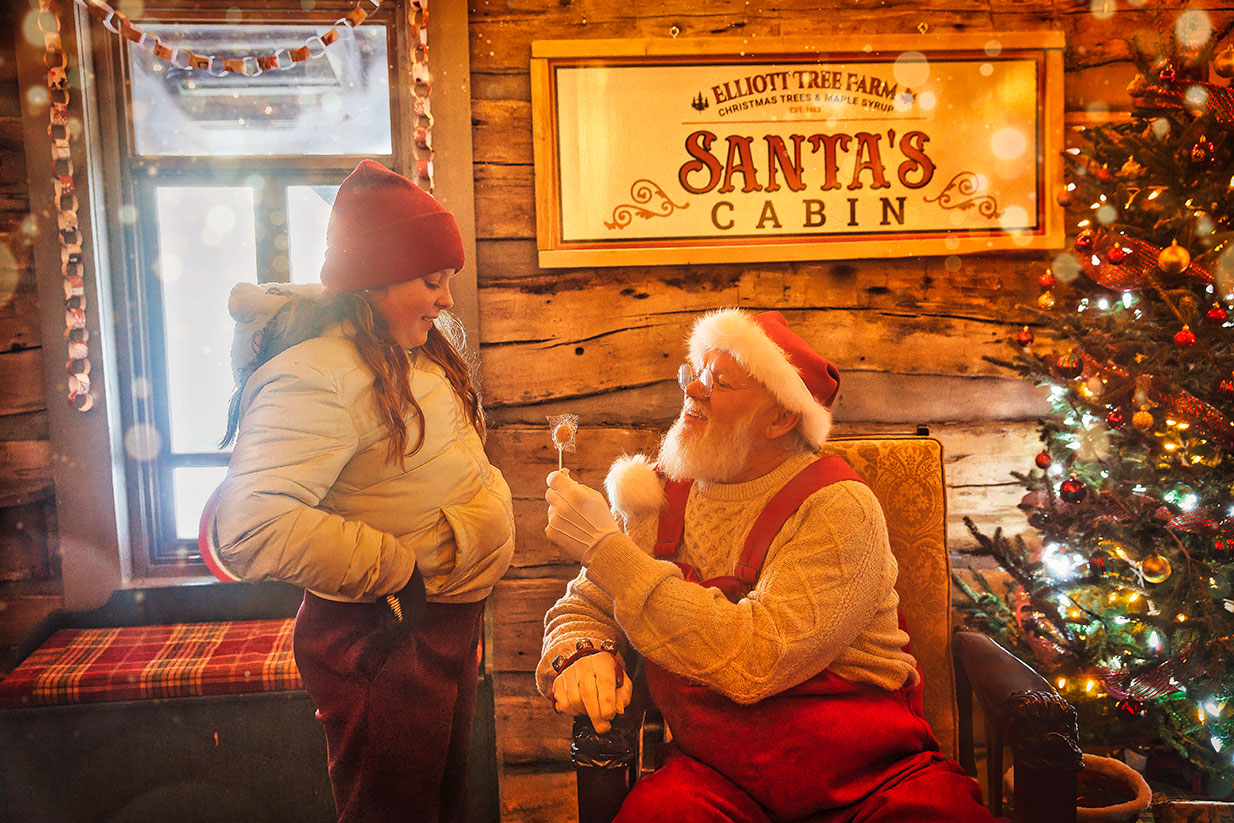 Santa's Cabin Experience