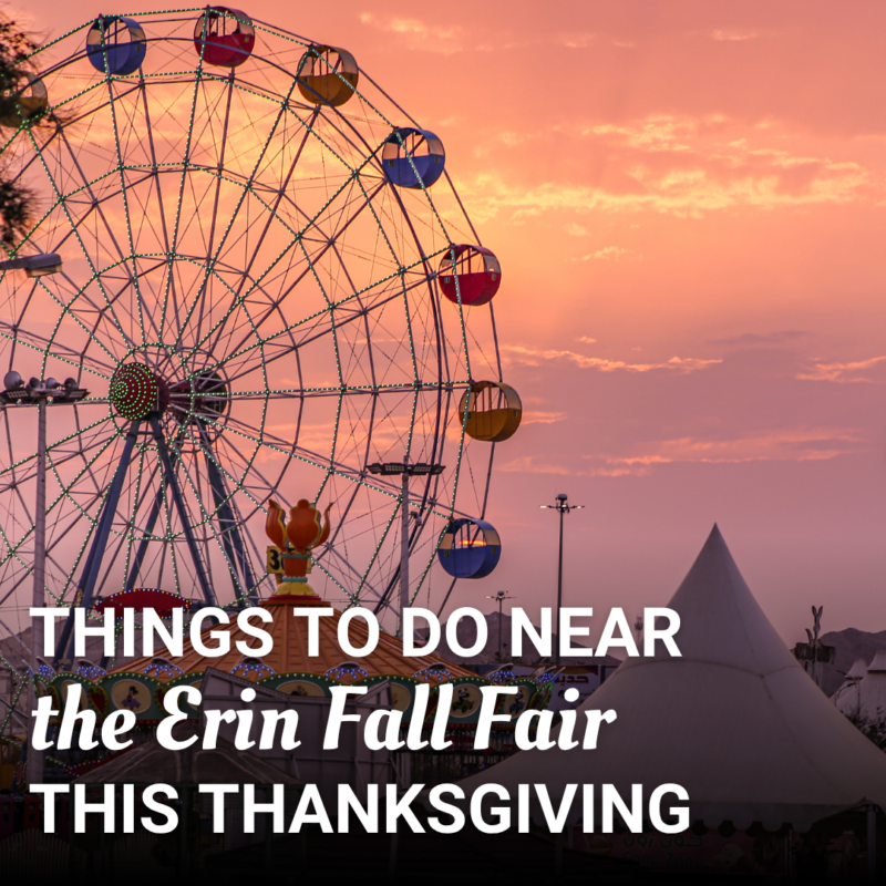 Read more about the article Things to Do Near the Erin Fall Fair This Thanksgiving Weekend