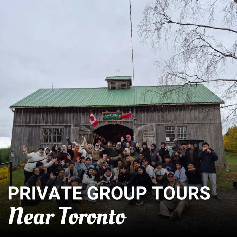 Read more about the article Private Group Tours Near Toronto: An Authentic Canadian Farm Experience for International Travellers